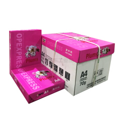 APP-金光纸业 复印纸,500张 (5包/箱);寒梅80克/A3